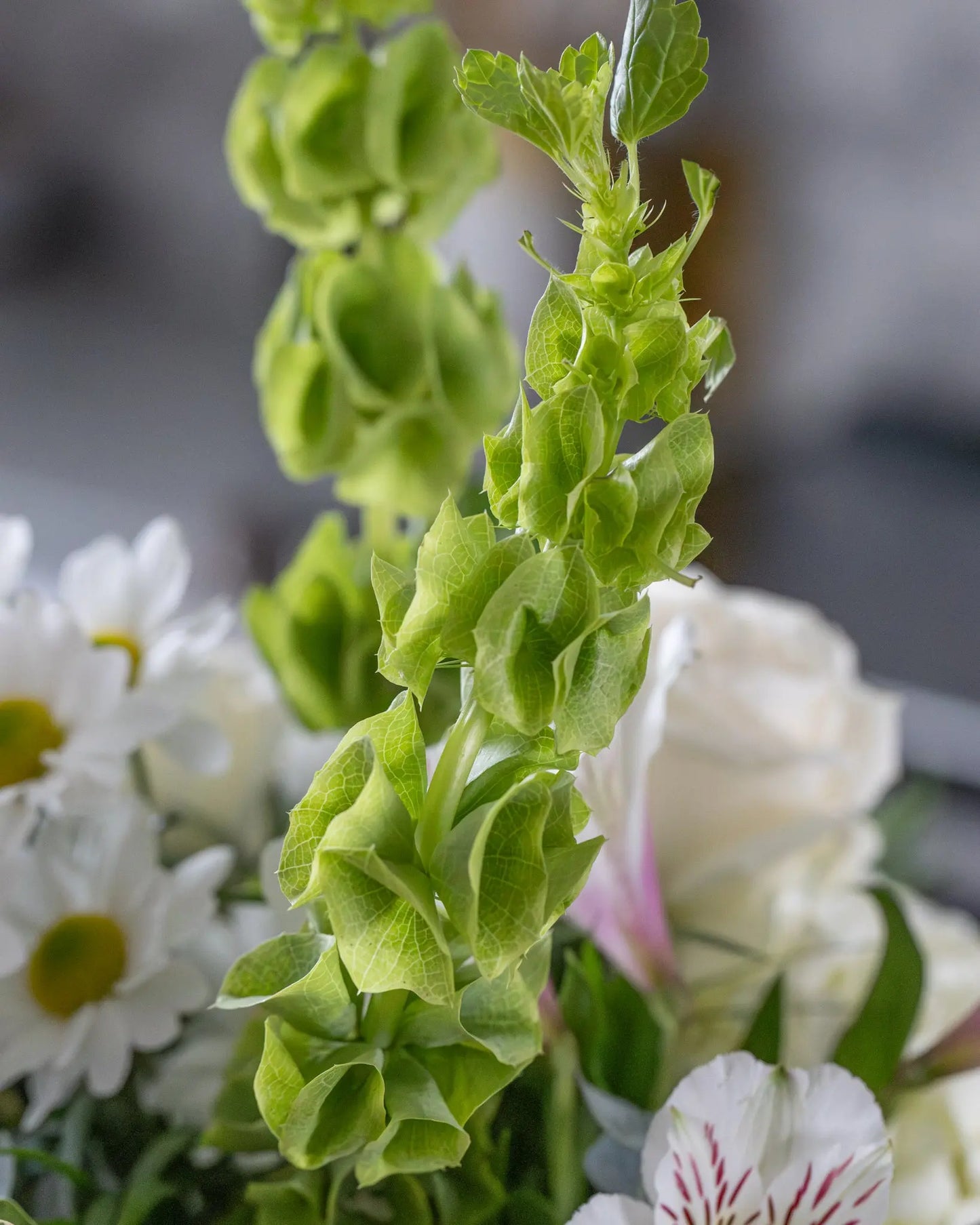 A Bit of Whimsy Branching Out Florists