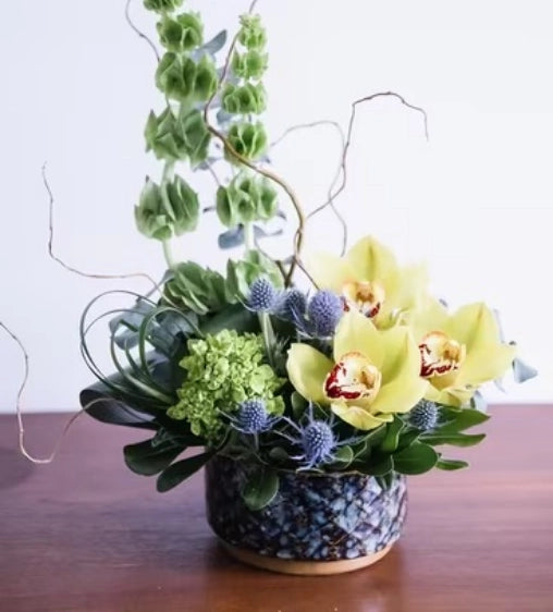 flower arrangement, Orchids, Thistle, contemporary, sympathy, everyday flowers