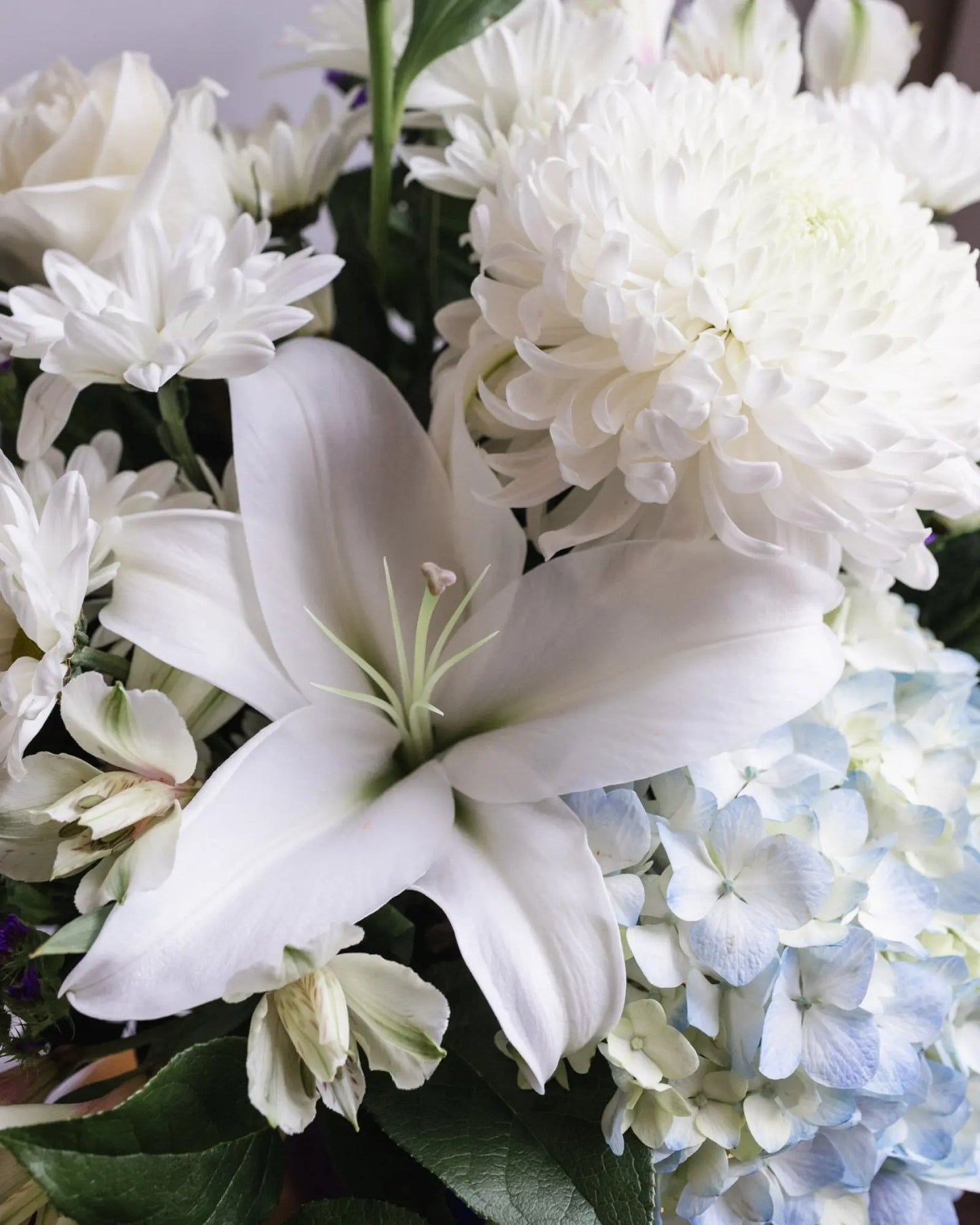 Heavenly Blue Arrangement Branching Out Florists