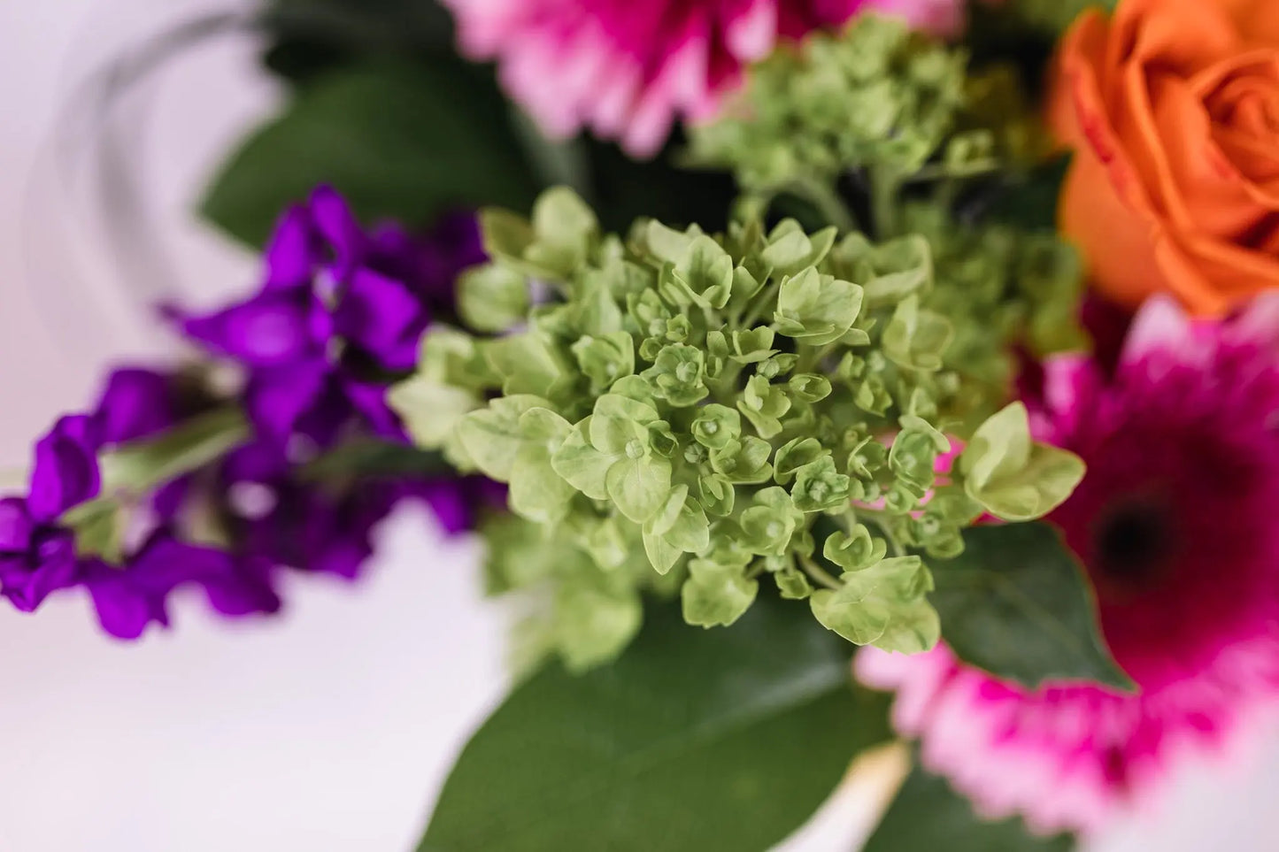 Designers Choice Tropical Palette Arrangement Branching Out Florists