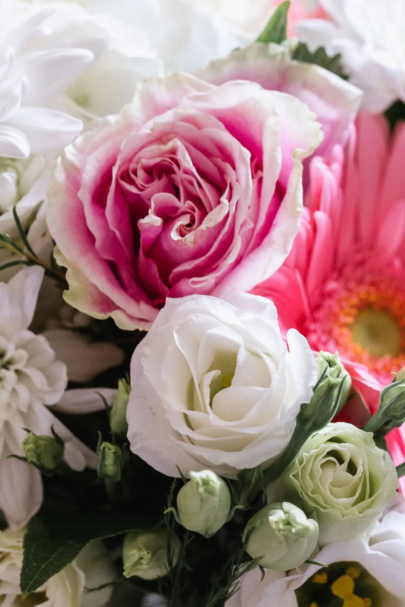 Pretty Pink Dream Branching Out Florists