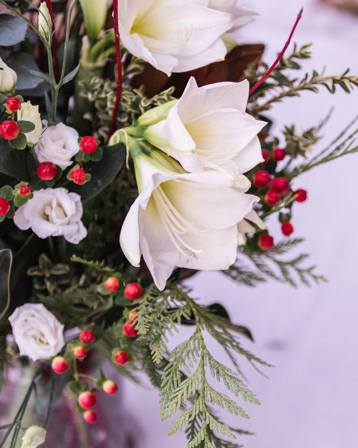 Amaryllis, berries, magnolia, vase arrangement, holiday vase