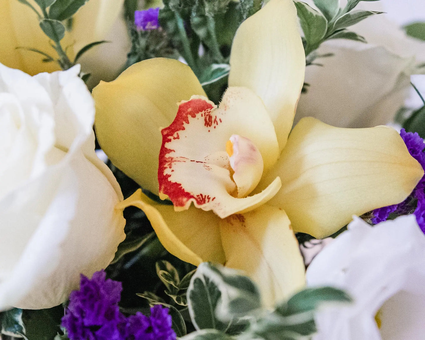 Pretty Little Pick Me Up Branching Out Florists