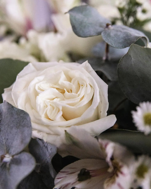 Designers Choice White and Green Palette Bouquet Branching Out Florists