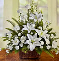 Peaceful White Tribute Branching Out Florists
