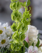 A Bit of Whimsy Branching Out Florists