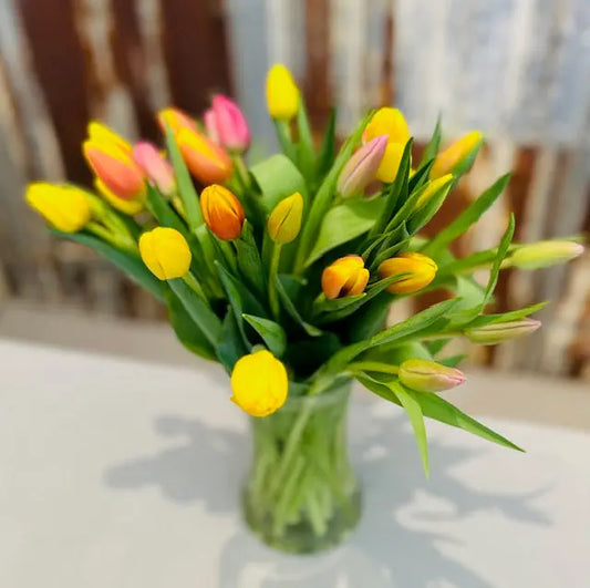 Mix Tulip Vase Arrangement Branching Out Florists