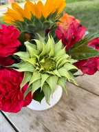 Autumn Shine Branching Out Florists