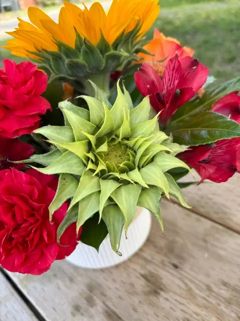 Autumn Shine Branching Out Florists
