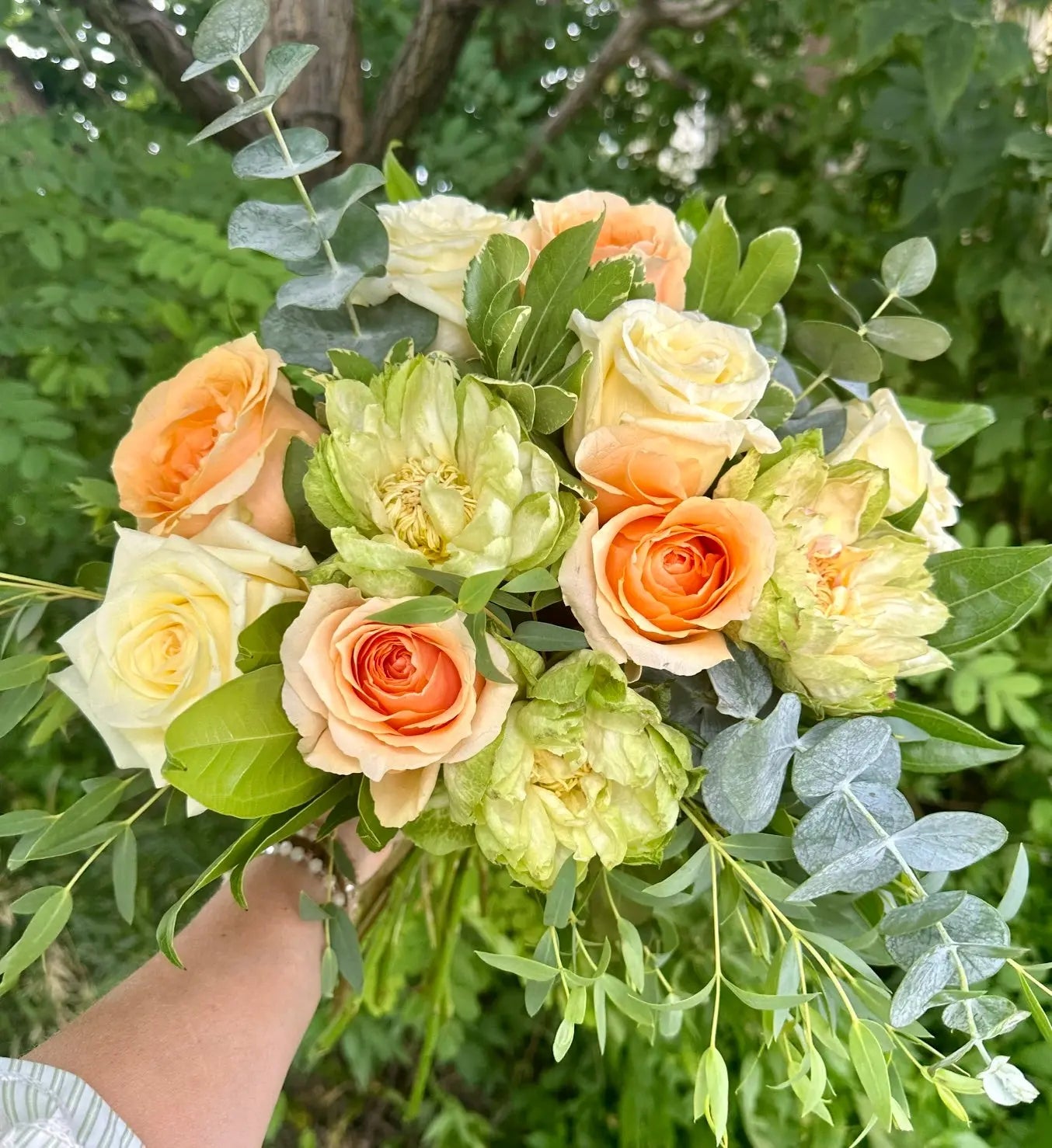 Peaches and Cream Rose Dozen Branching Out Florists