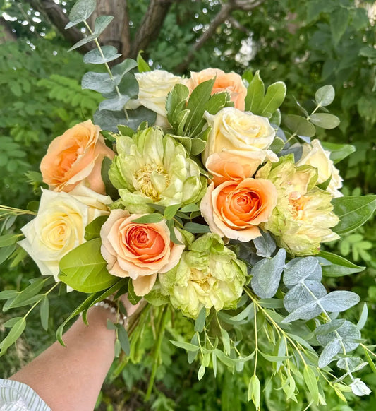 Peaches and Cream Rose Dozen Branching Out Florists