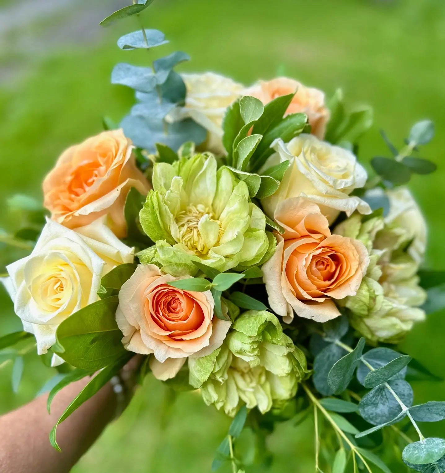 Peaches and Cream Rose Dozen Branching Out Florists