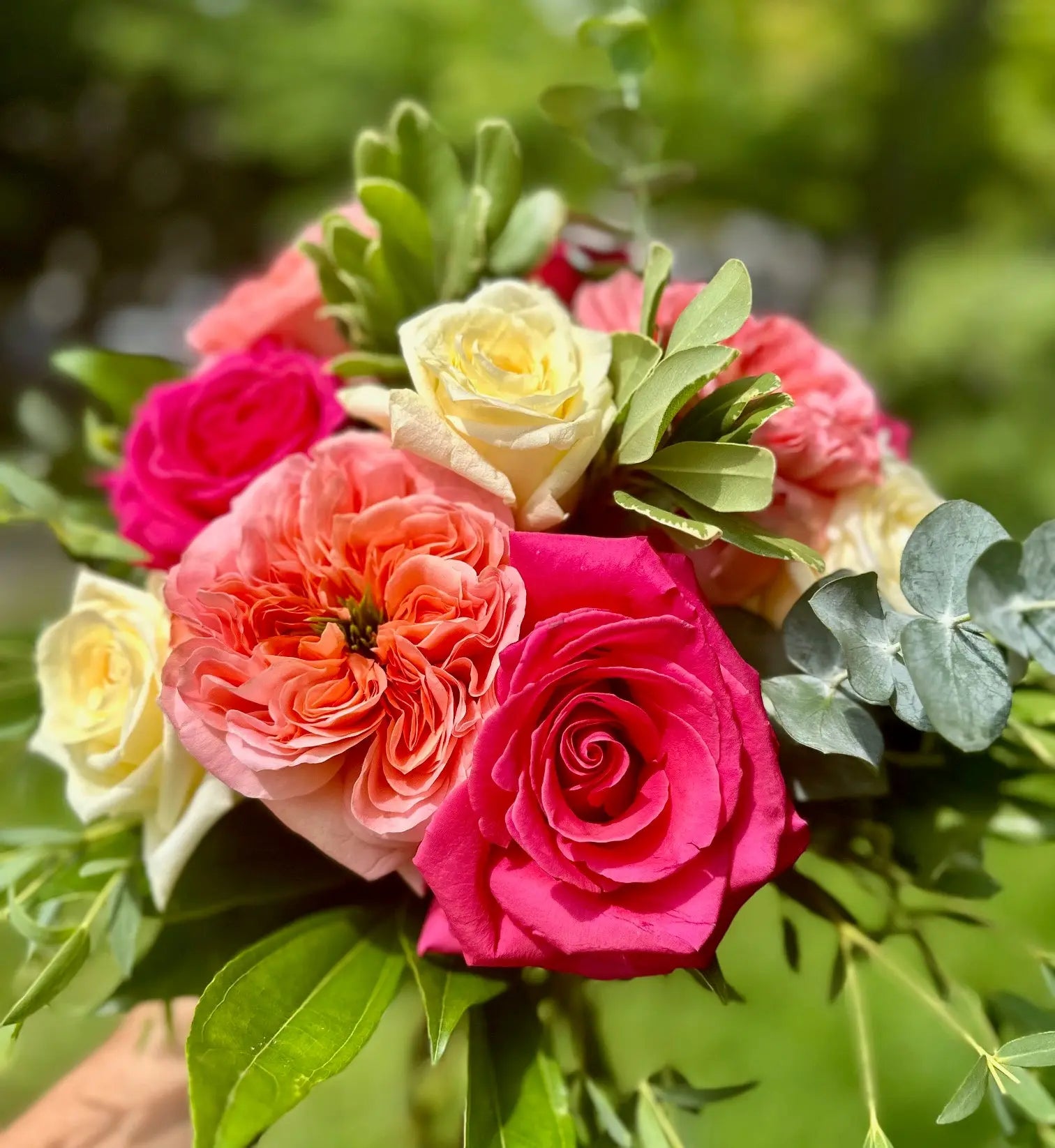 English Rose Dozen Branching Out Florists