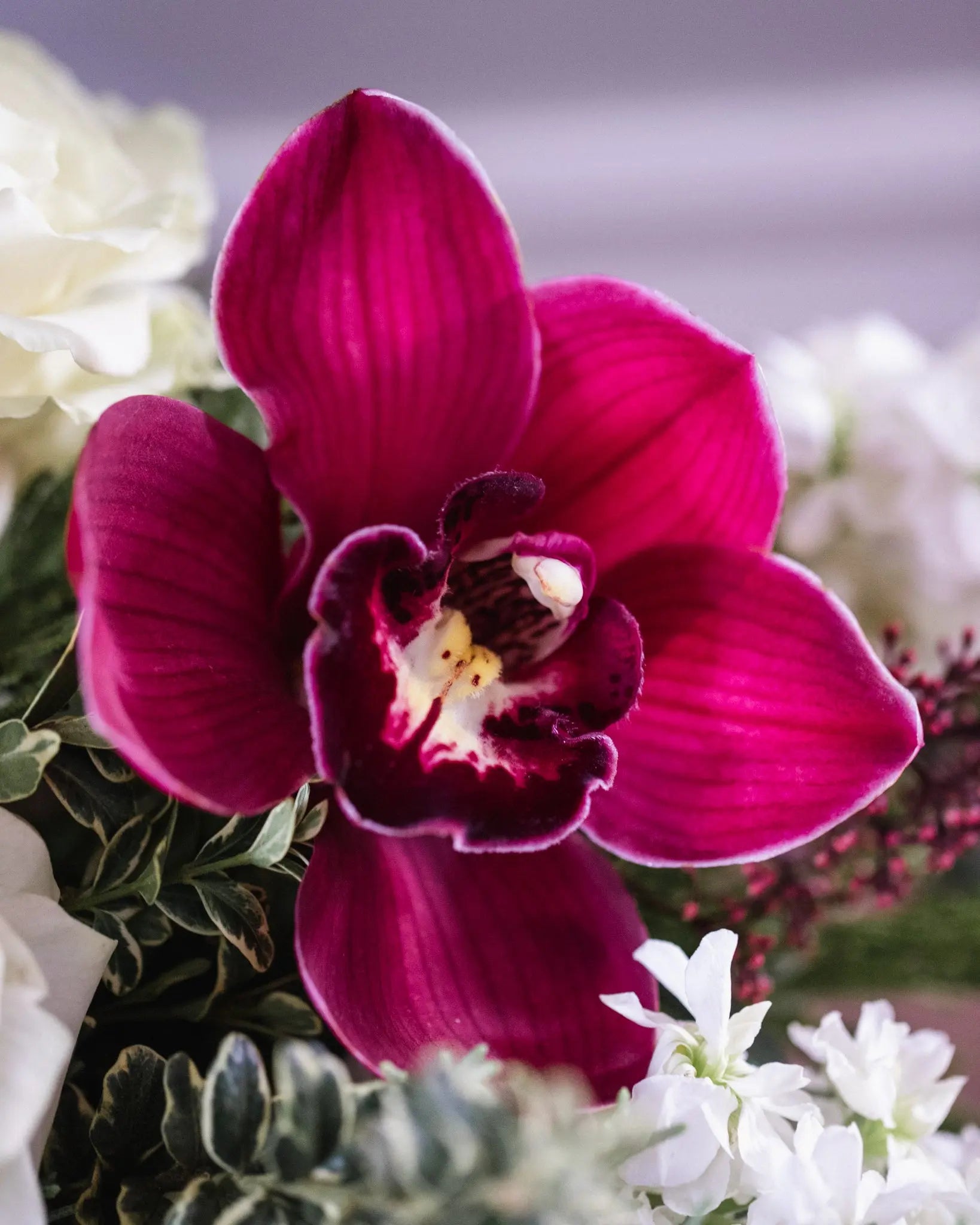 burgundy orchids, carnations, white roses, succulent, berries, evergreen arrangement