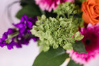 Designers Choice Tropical Palette Arrangement Branching Out Florists