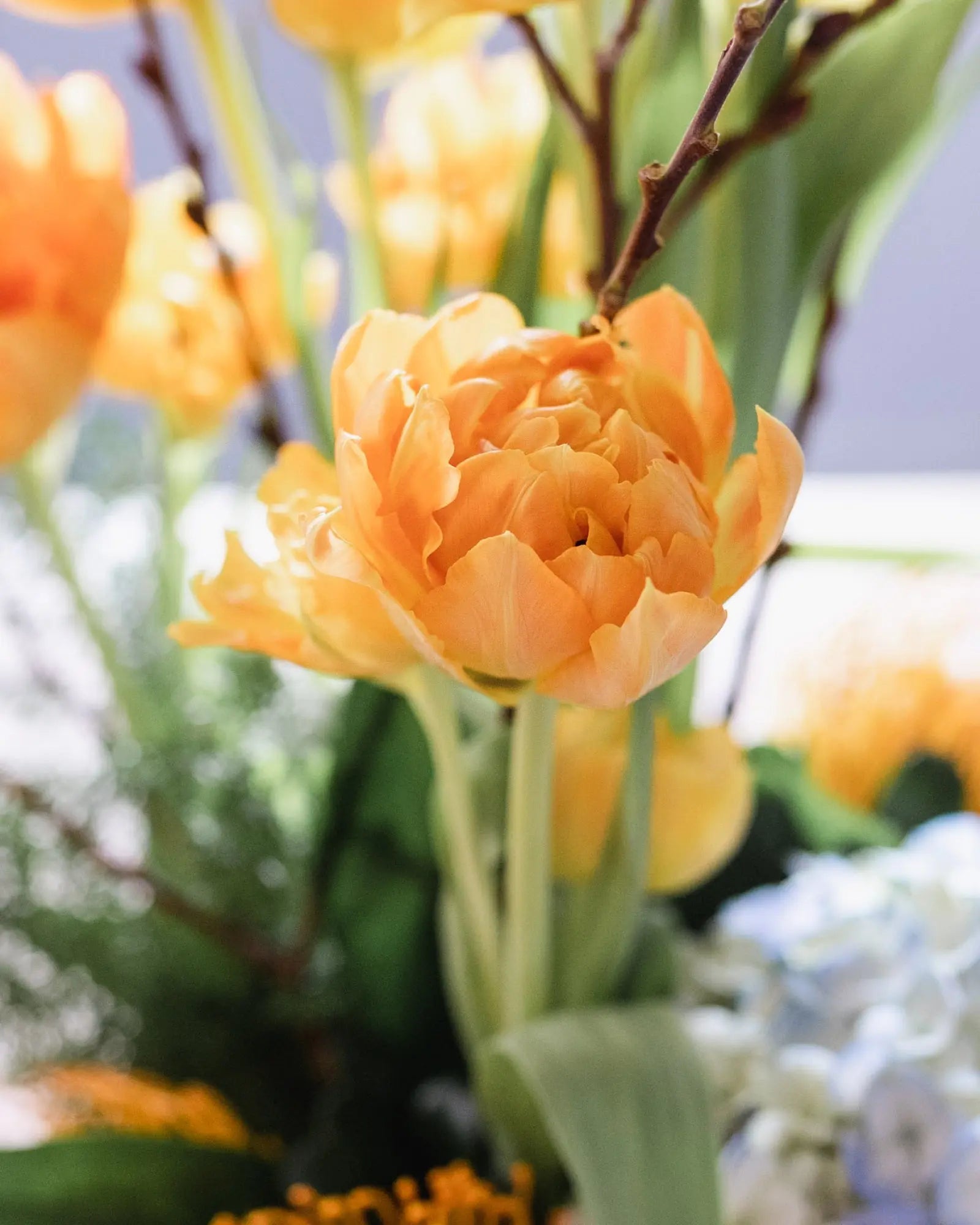 Spring Has Sprung Branching Out Florists