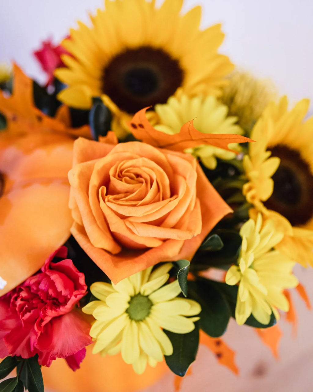 Orange Harvest Pumpkin Branching Out Florists