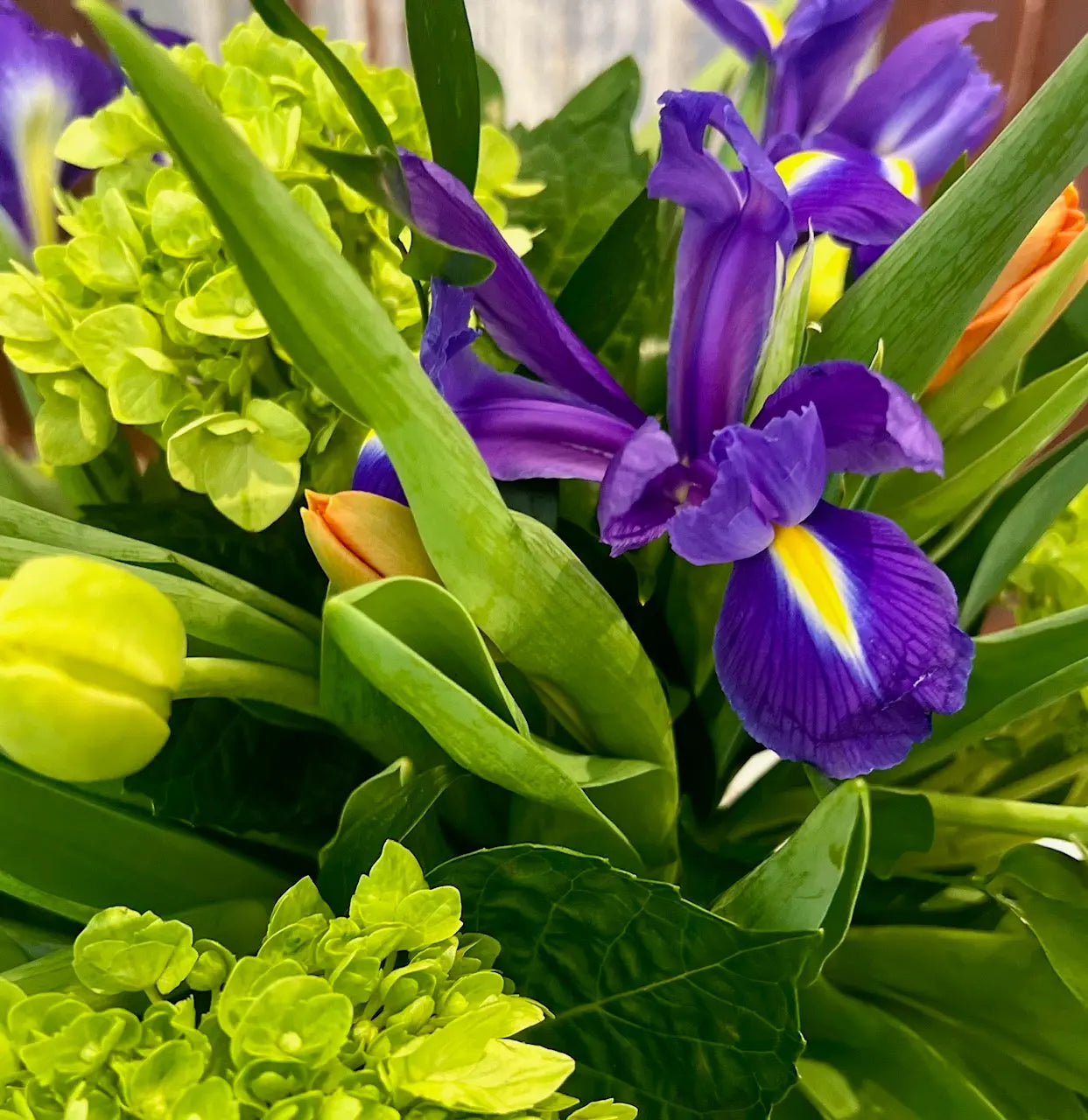 A floral arrangement featuring purple iris, green hydrangea, and yellow tulips with other greenery in a vase.
