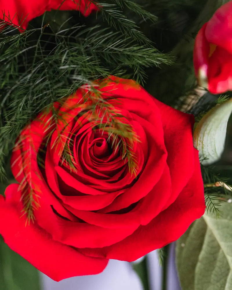 Red Hot Love Branching Out Florists