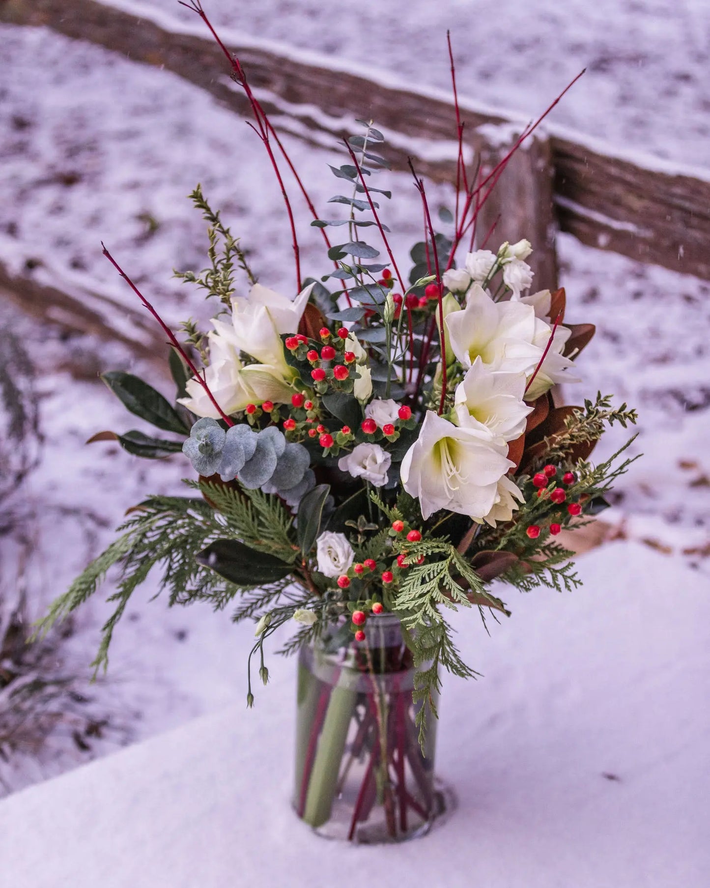 Amaryllis, berries, magnolia, vase arrangement, holiday vase, eucayptus