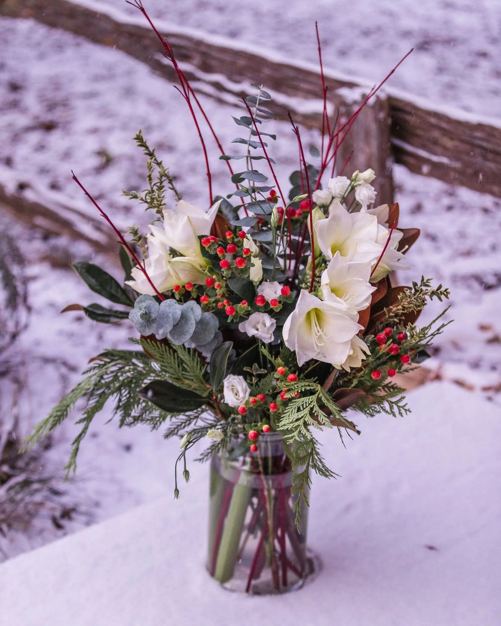 Amaryllis, berries, magnolia, vase arrangement, holiday vase, eucayptus